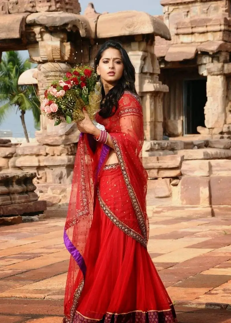 Beautiful Indian Girl Anushka Shetty Big Face Stills